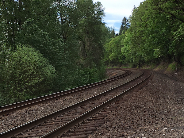 Railroad tracks near Ridgefield Wildlife Animal Refuge. Photo Credit: J.H. Winter