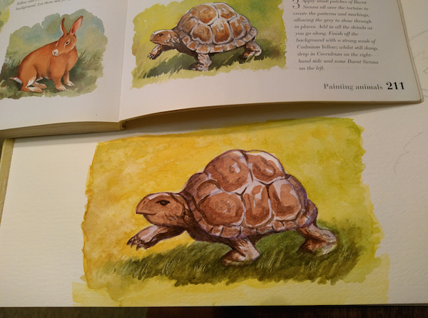 turtle-watercolor-2