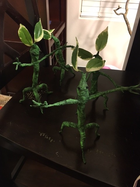 A Group of Bowtruckles. Photo Credit: J.H. Winter